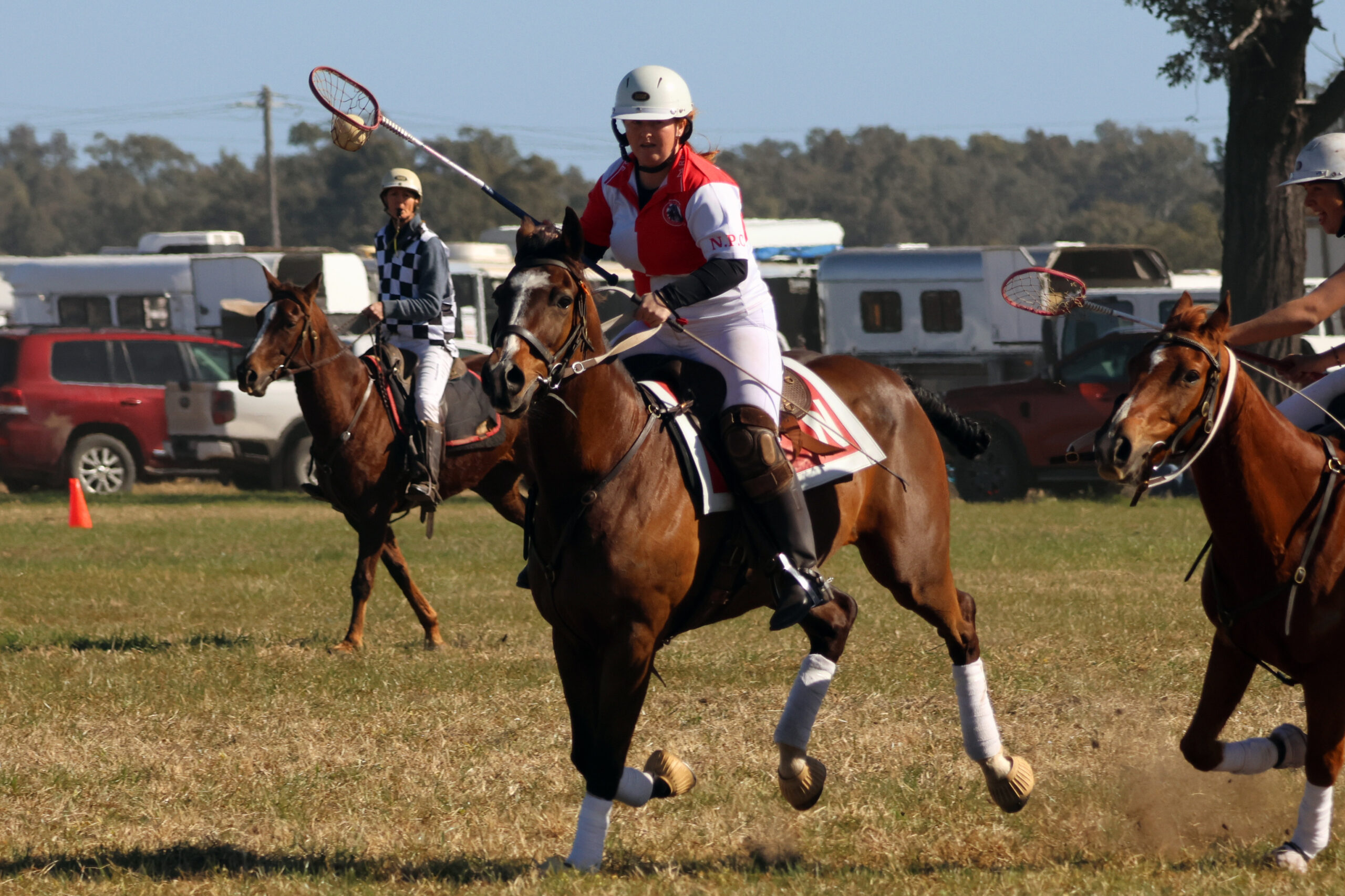 Local polocrosse guns to pull on the sky blue for NSW at Barastoc and Nationals