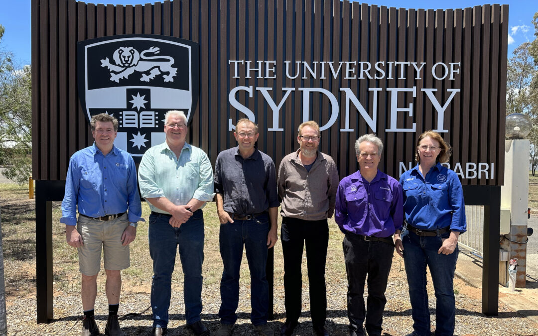 New cotton course set to drive industry innovation
