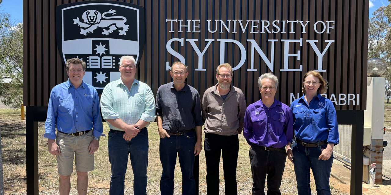 New cotton course set to drive industry innovation