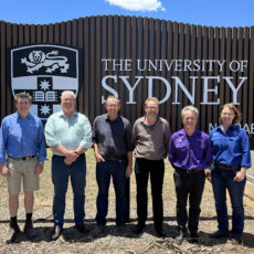 New cotton course set to drive industry innovation