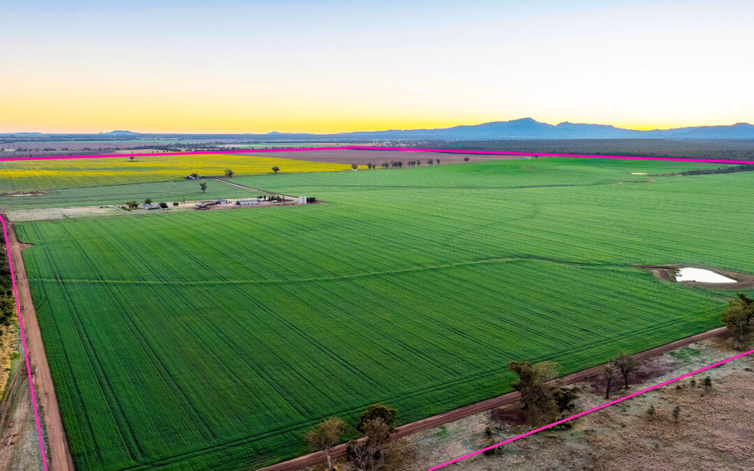 ‘Abundance’: Highly productive land enterprise just minutes from town