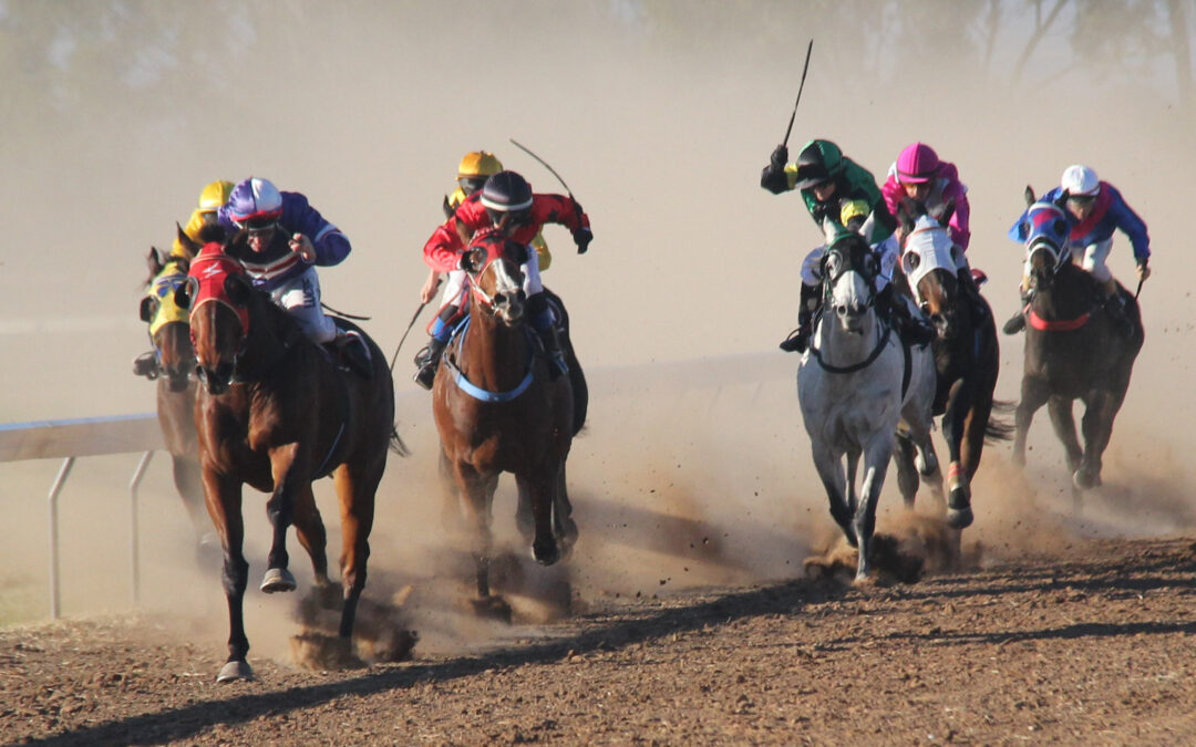 Country racing returns to Narrabri on Saturday