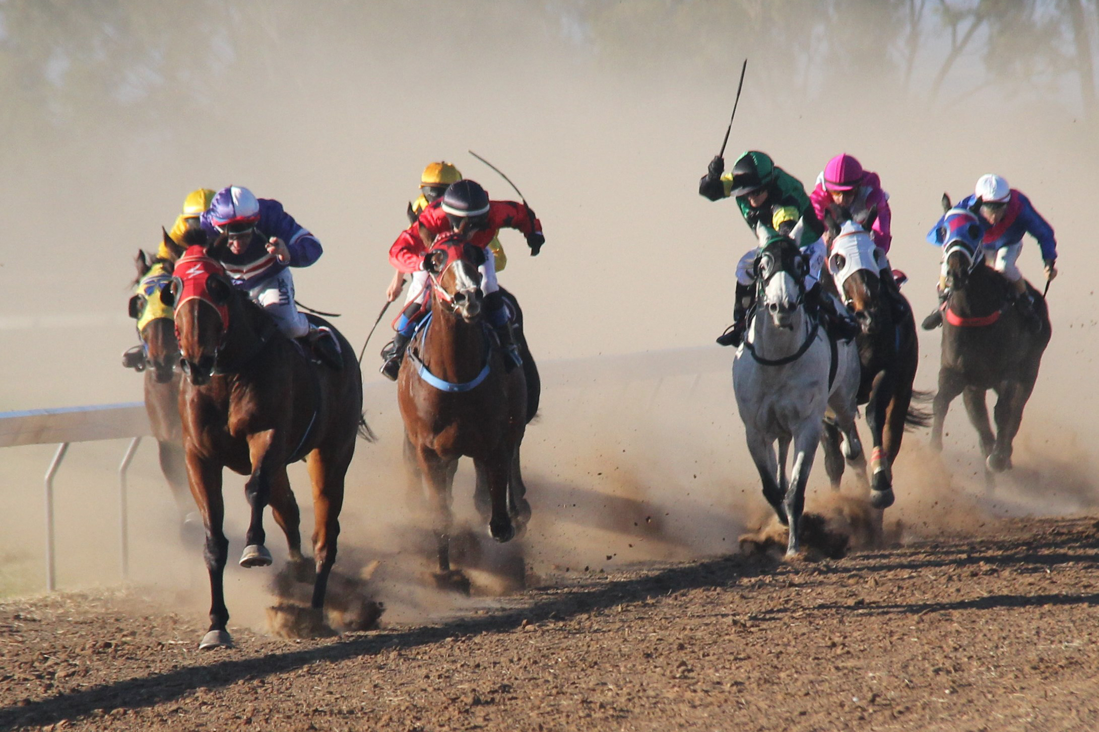 Country racing returns to Narrabri on Saturday
