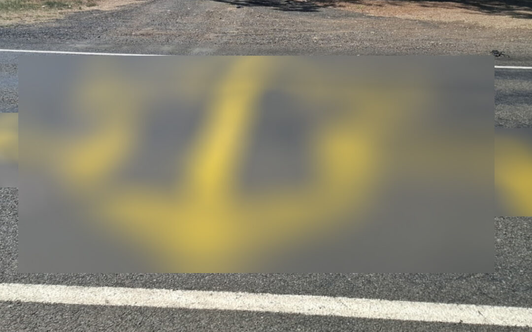 Vandal charged for alleged road, sign graffiti