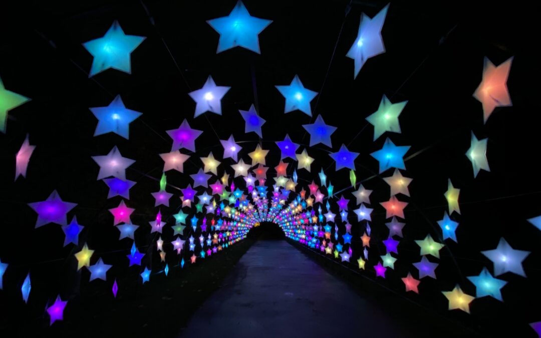 BIGGER, BRIGHTER, BOLDER: NarraBRIGHT street festival to be most immersive and ambitious yet