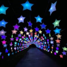 BIGGER, BRIGHTER, BOLDER: NarraBRIGHT street festival to be most immersive and ambitious yet