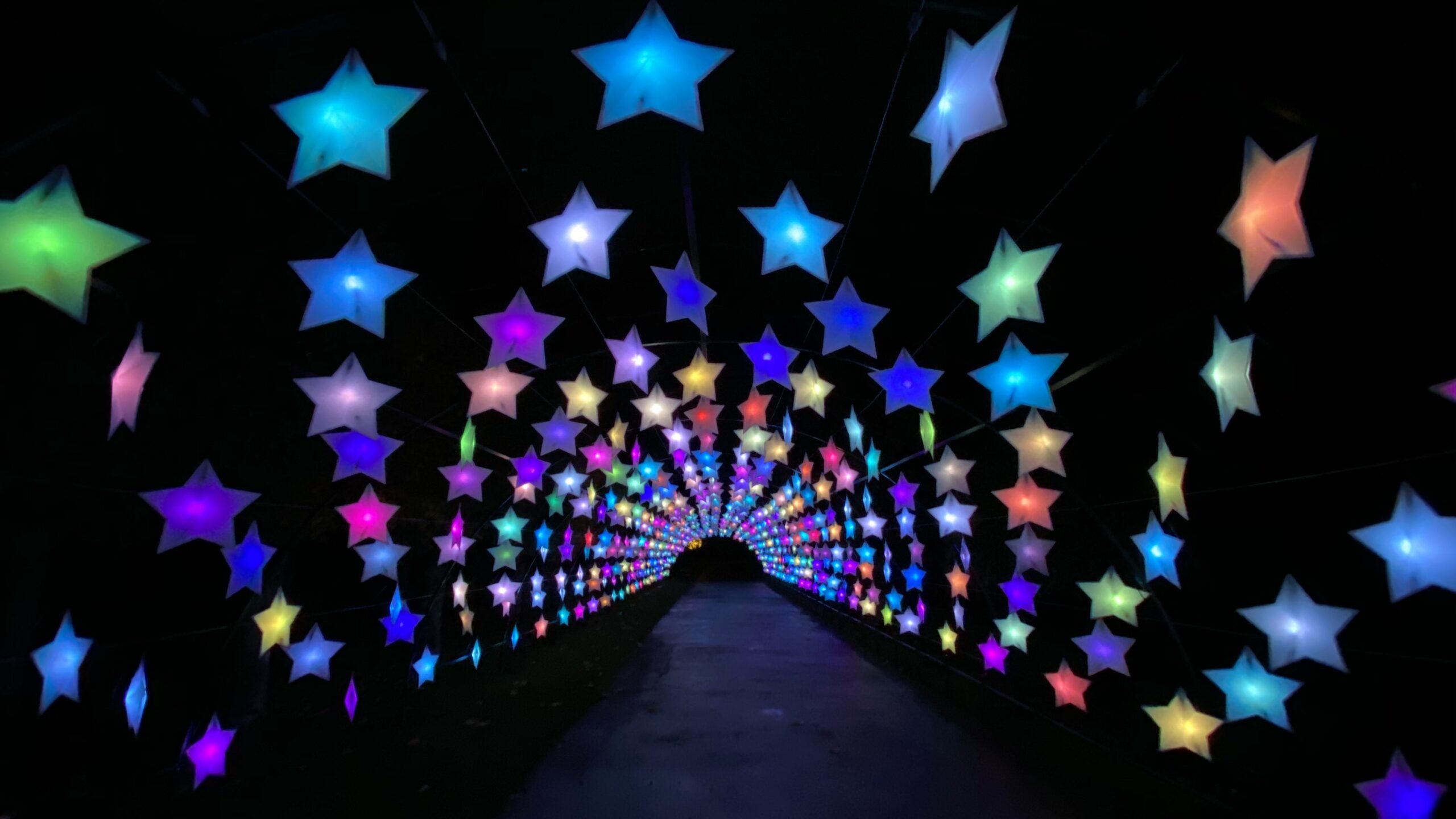 BIGGER, BRIGHTER, BOLDER: NarraBRIGHT street festival to be most immersive and ambitious yet