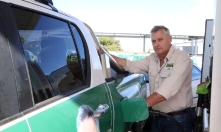Petrol price relief in sight  following fuel tax reduction