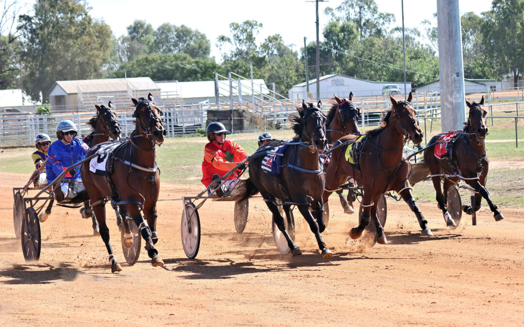 Narrabri Harness Racing Club hosts its first meeting of 2026 on Easter Sunday