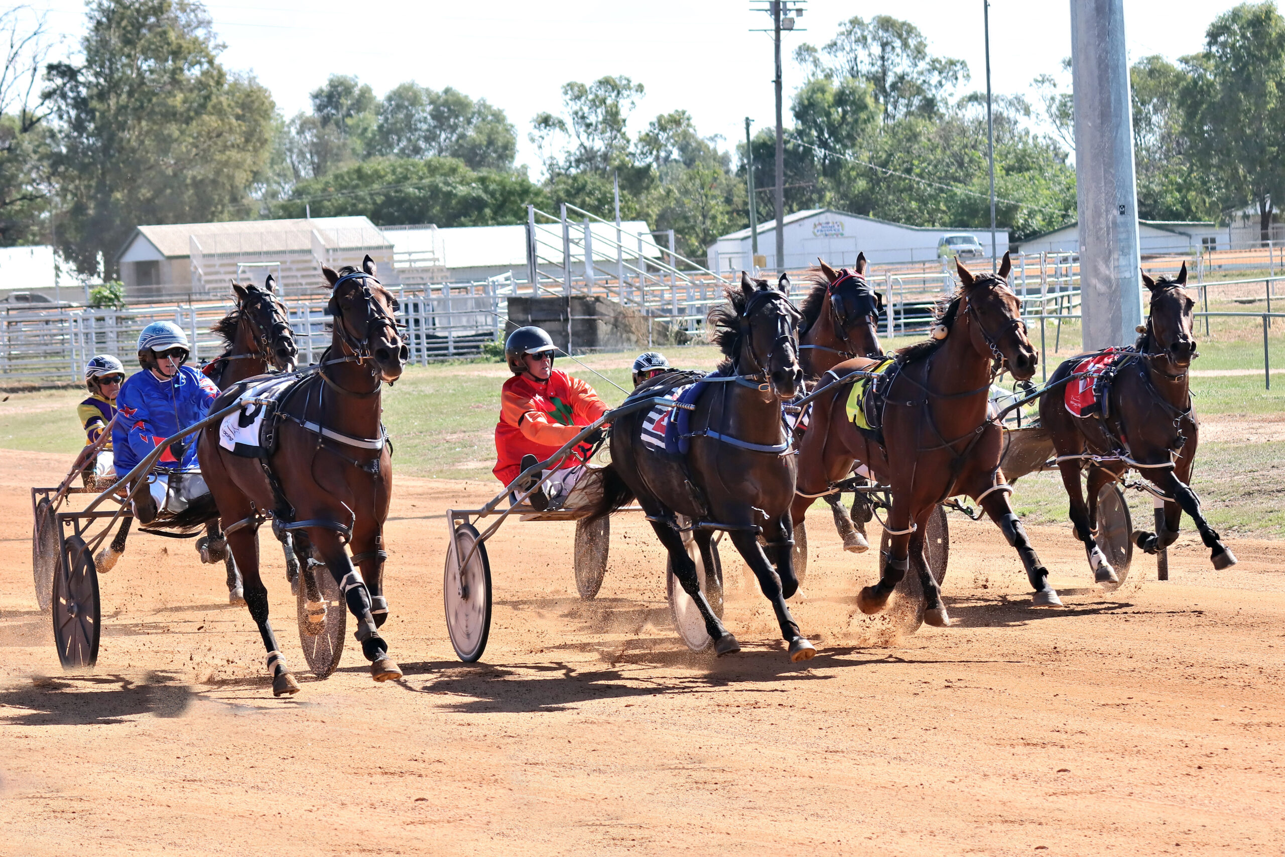 Narrabri Harness Racing Club hosts its first meeting of 2026 on Easter ...