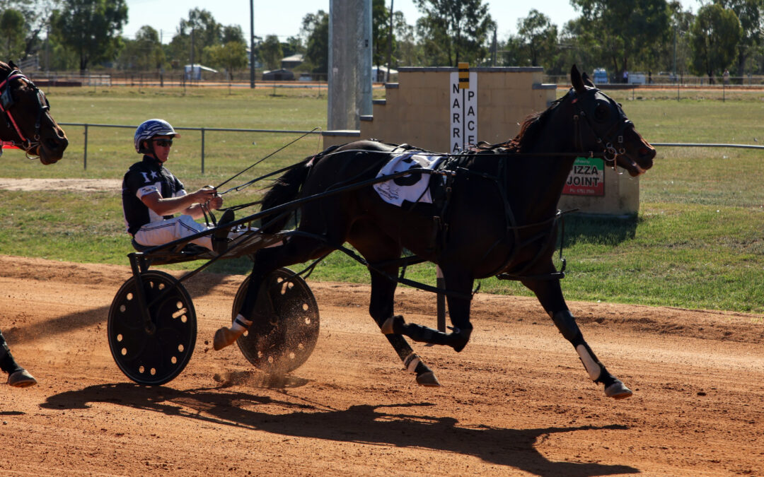 High five for Tom Ison during memorable meeting at Narrabri Showground