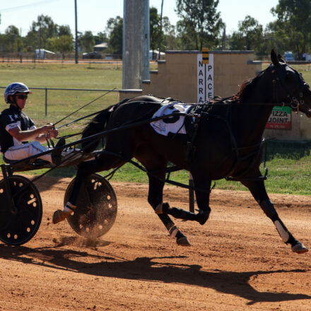 High five for Tom Ison during memorable meeting at Narrabri Showground