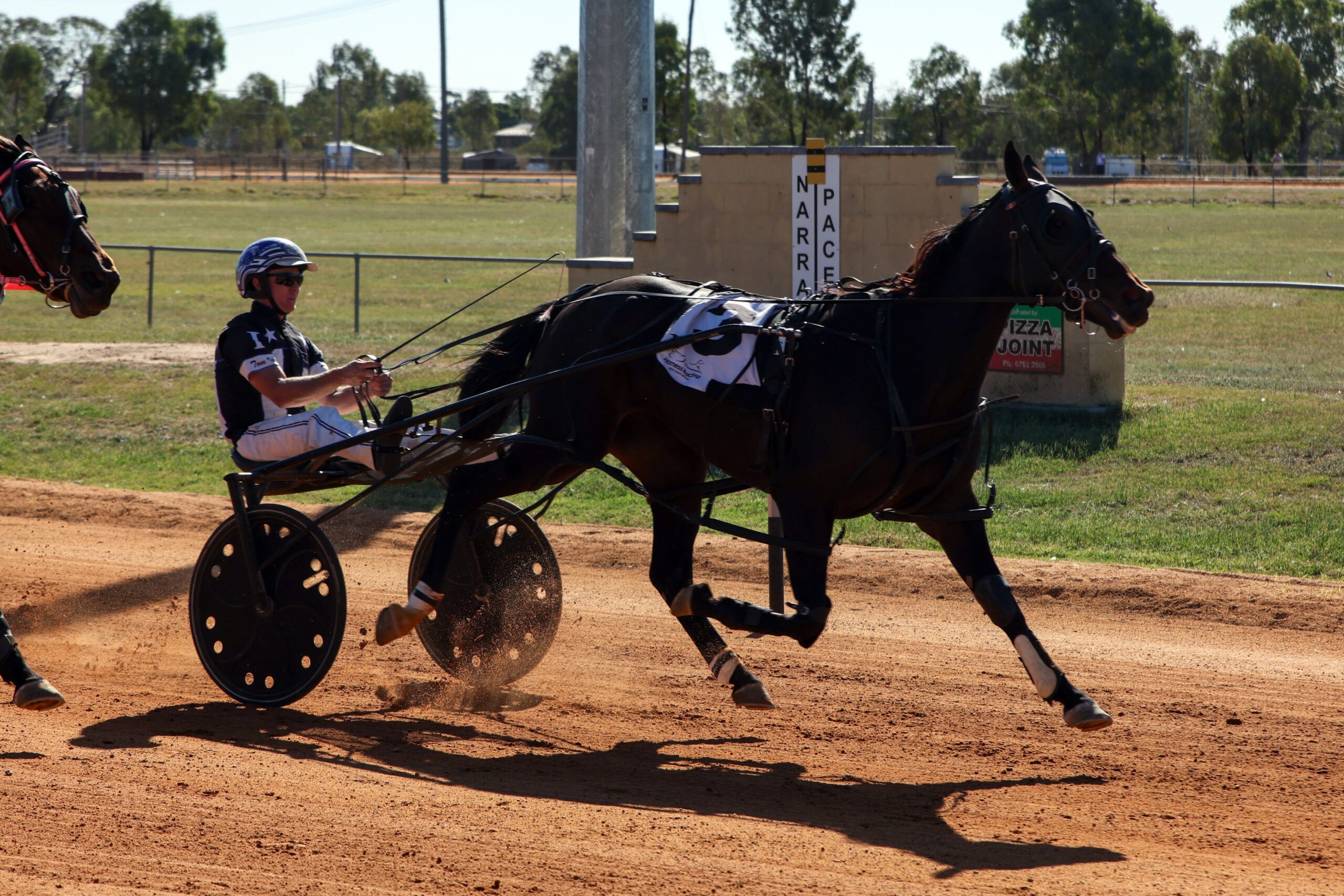 High five for Tom Ison during memorable meeting at Narrabri Showground