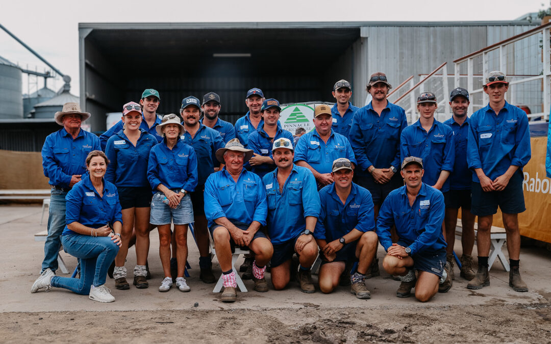 Spring Ridge cotton field day draws record-breaking interest