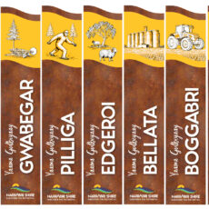Concepts for new town, village signs now on public exhibition