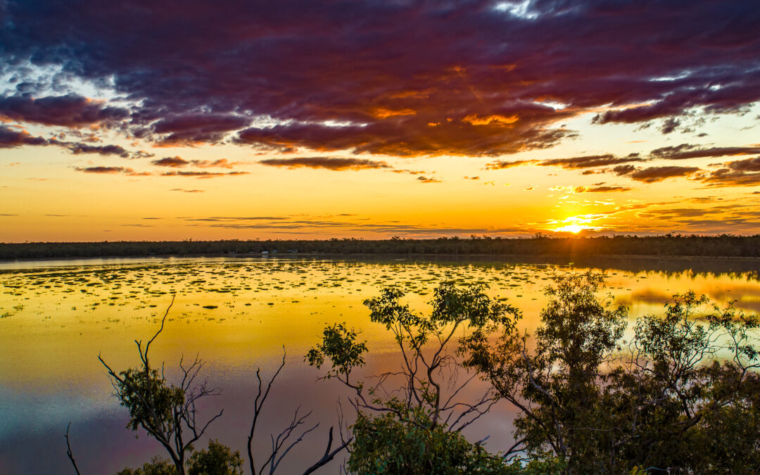 Have your say on the future of Yarrie Lake