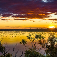 Have your say on the future of Yarrie Lake