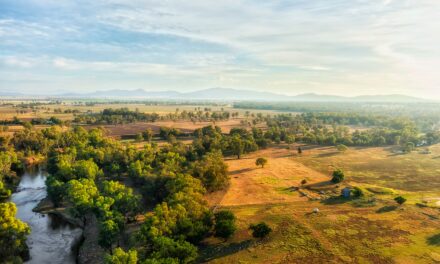 Questions unanswered in new water sharing plan: Namoi Water