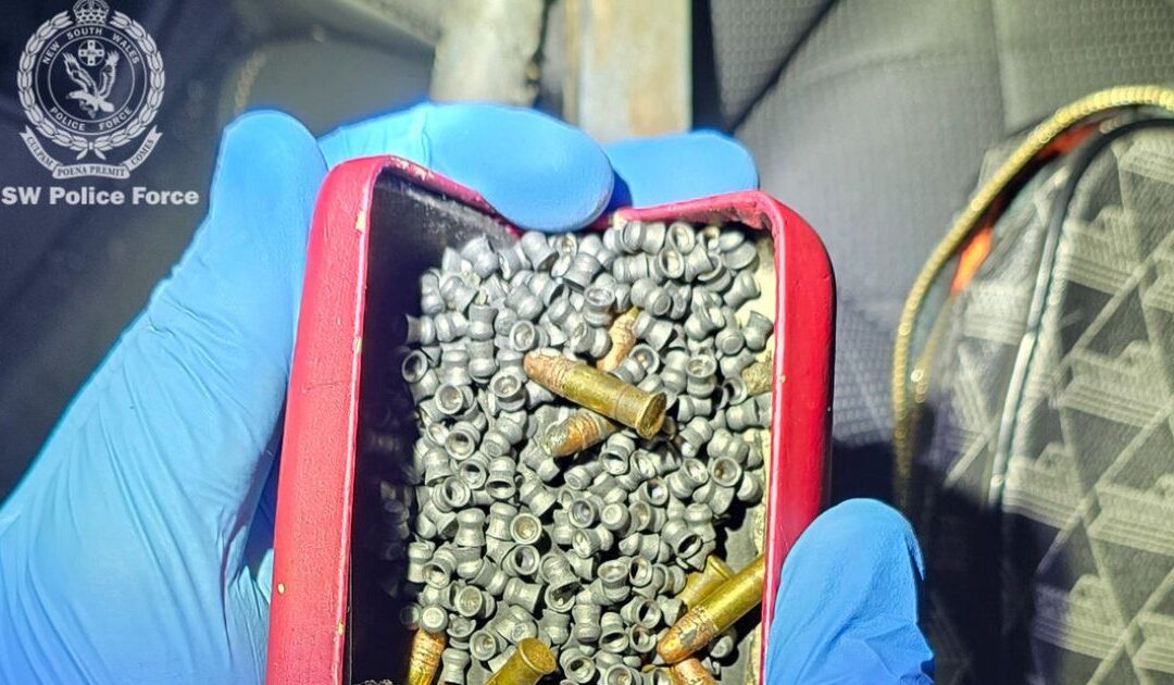 Teen charged, loadedfirearm and ammunition seized