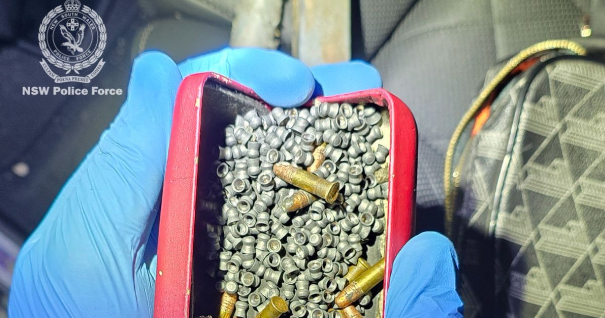 Teen charged, loadedfirearm and ammunition seized