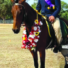 Max rides to supreme success