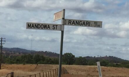 Rangari Road upgrade a step closer