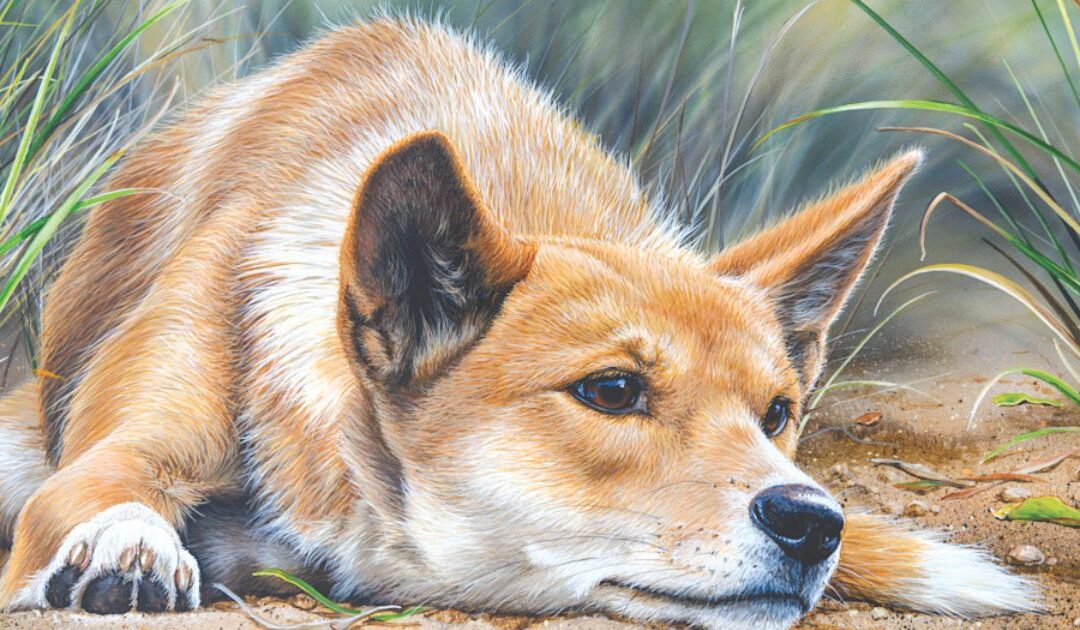 Paws and palettes: a history of dogs in Australian art 