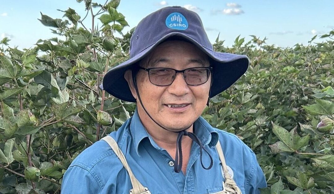 Three local scientists finalists for Researcher of the Year honour