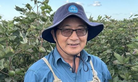 Three local scientists finalists for Researcher of the Year honour