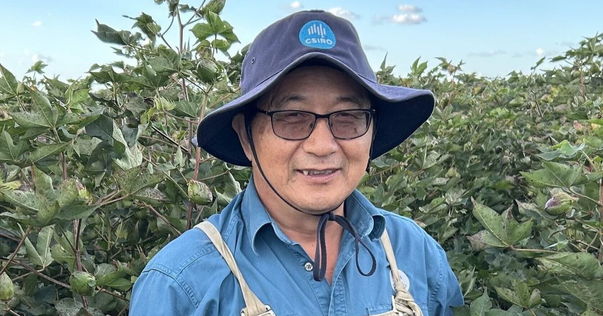 Three local scientists finalists for Researcher of the Year honour