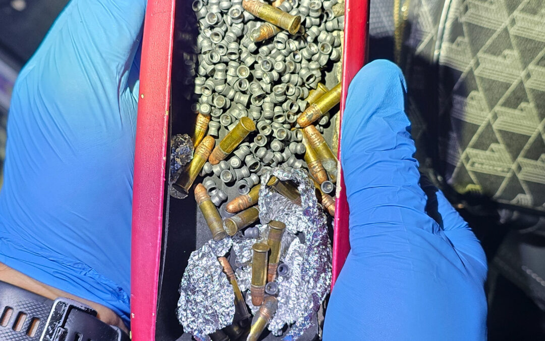 Teen charged after loaded firearm and ammunition seized during motor vehicle stop – Narrabri
