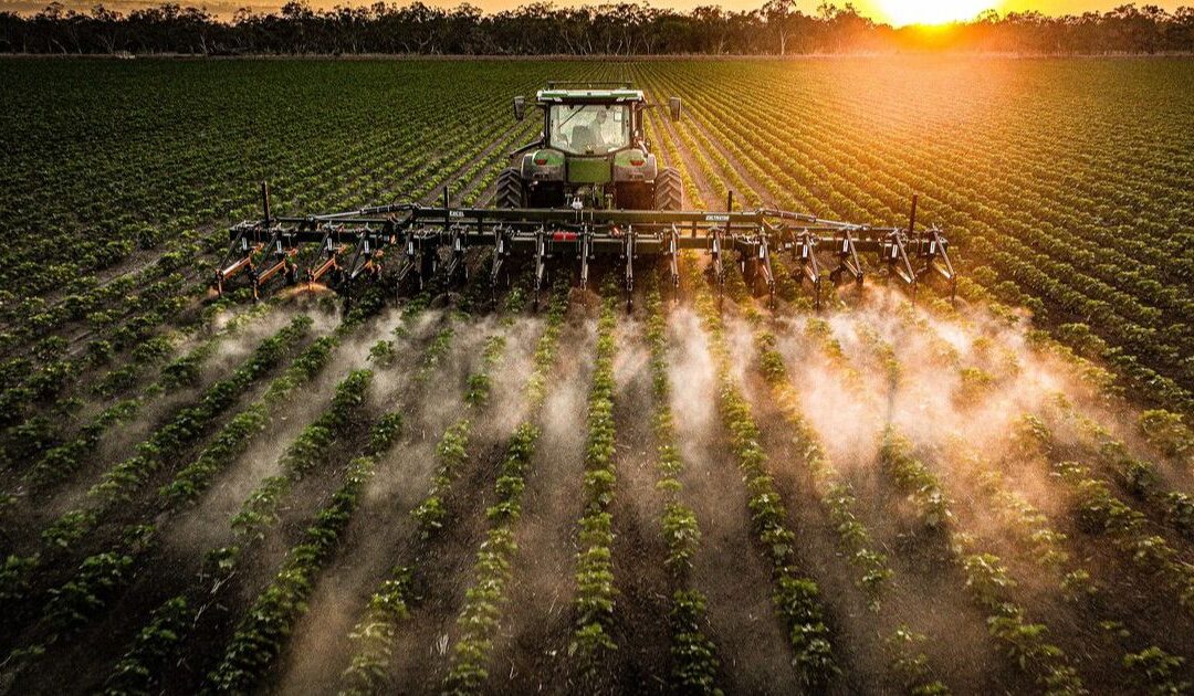 Cotton communities shine in Click 26 photo awards