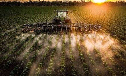 Cotton communities shine in Click 26 photo awards