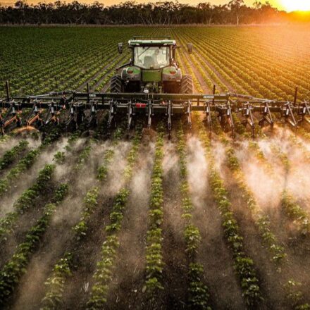 Cotton communities shine in Click 26 photo awards