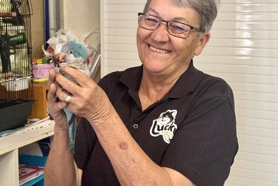 Craft, creativity fun aplenty in school holidays