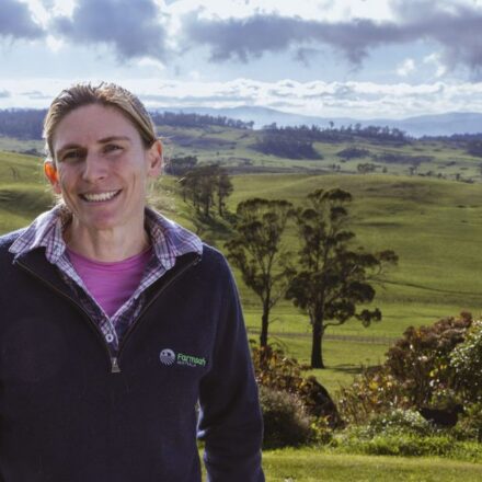 Grim farm death toll sparks safety campaign