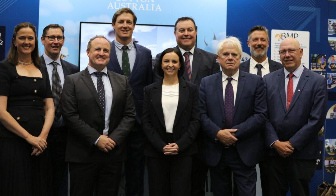 New directors join Cotton Australia board