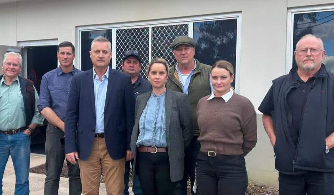 MP says community feels ‘utterly betrayed’ by Inland Rail decision