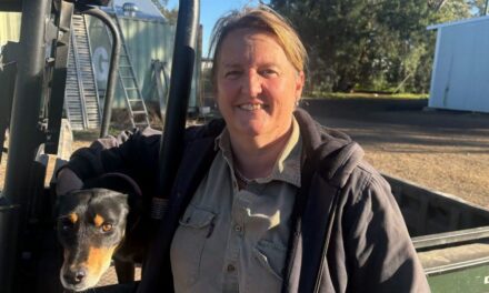 Rebecca Reardon to lead NSW Farmers