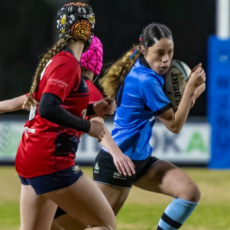 Junior Blue Boars Rugby