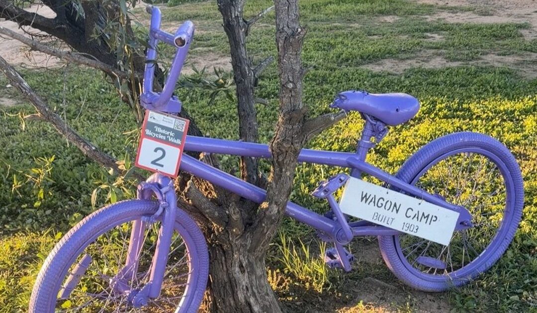 The history behind the colourful bikes in Burren