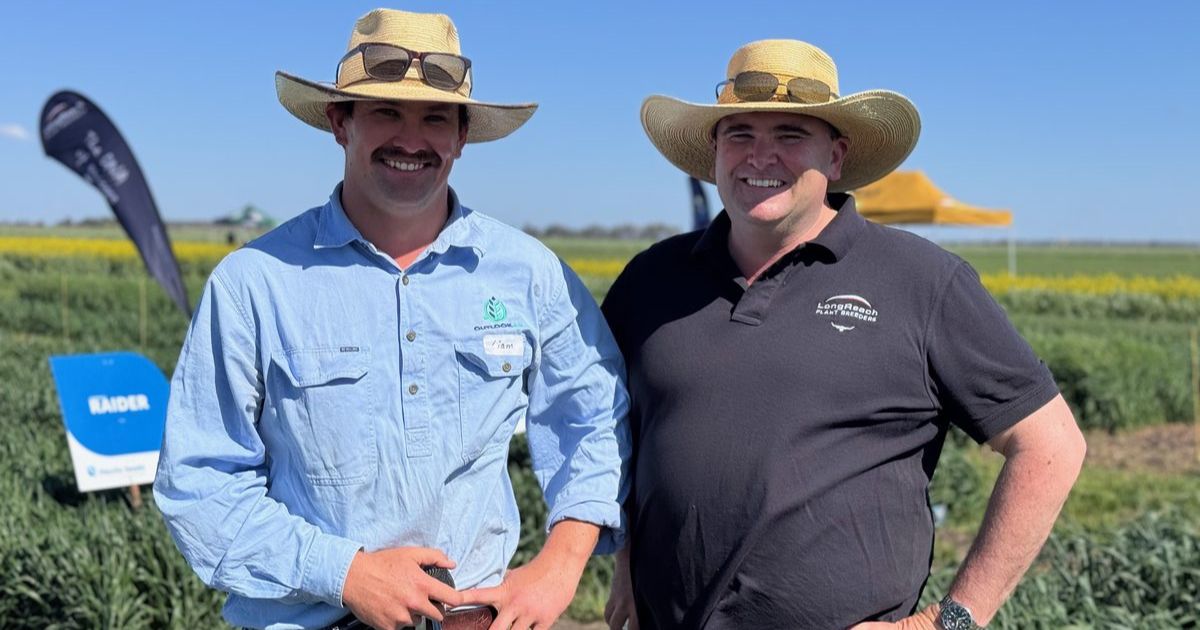 Fantastic crop art and a fabulous field day