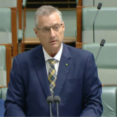 Coalition net zero plan