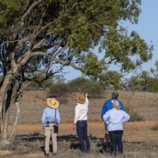 NSW conservation officer