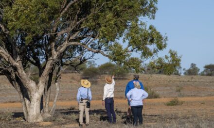 Conservation, cockatoos and connections with Jo