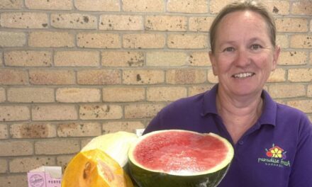 Fresh produce and friendly service at Paradise Fresh Narrabri