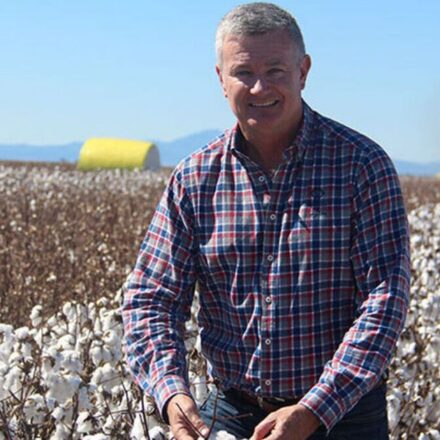 Cotton planting underwayas growers face drier season