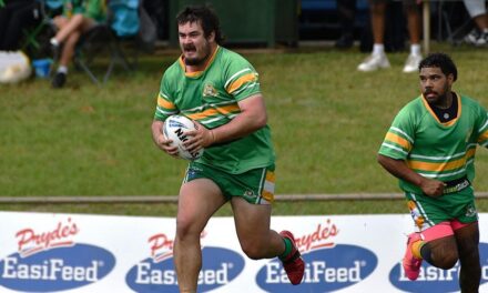 Nick Millar to oversee Roos as first grade coach