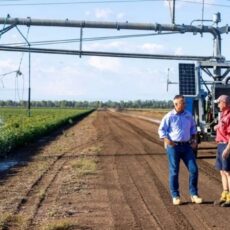 Murray-Darling Water Buybacks